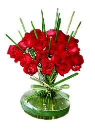 Paixão de Rosas Vermelhas