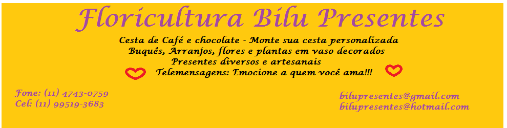 Loja de Bilu
