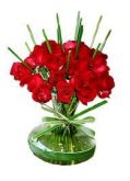 Paixão de Rosas Vermelhas